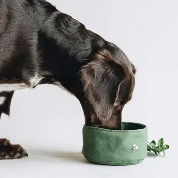 Katlanabilir evcil hayvan kaseleri Seyahat köpek maması kasesi Köpek Içme Besleyici PuppyWater Dağıtıcı Su Geçirmez Tuval yiyecek kasesi Pet
